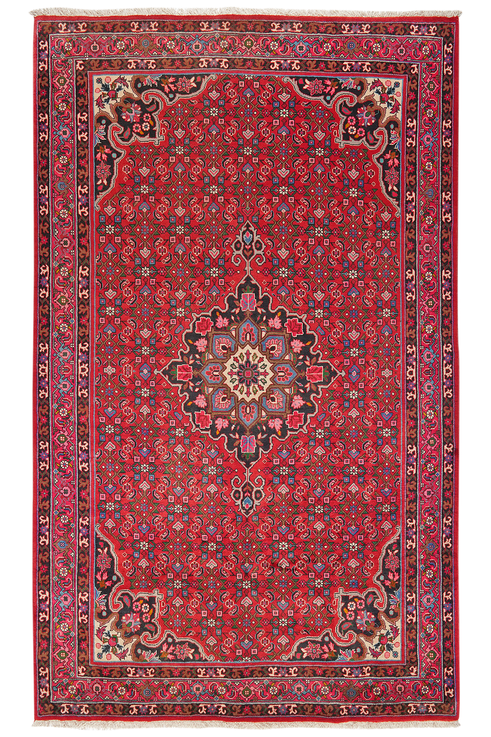 Bidjar — Handgefertigt, 254x155 cm, Rot, 100% Virgin Wool | Main view
