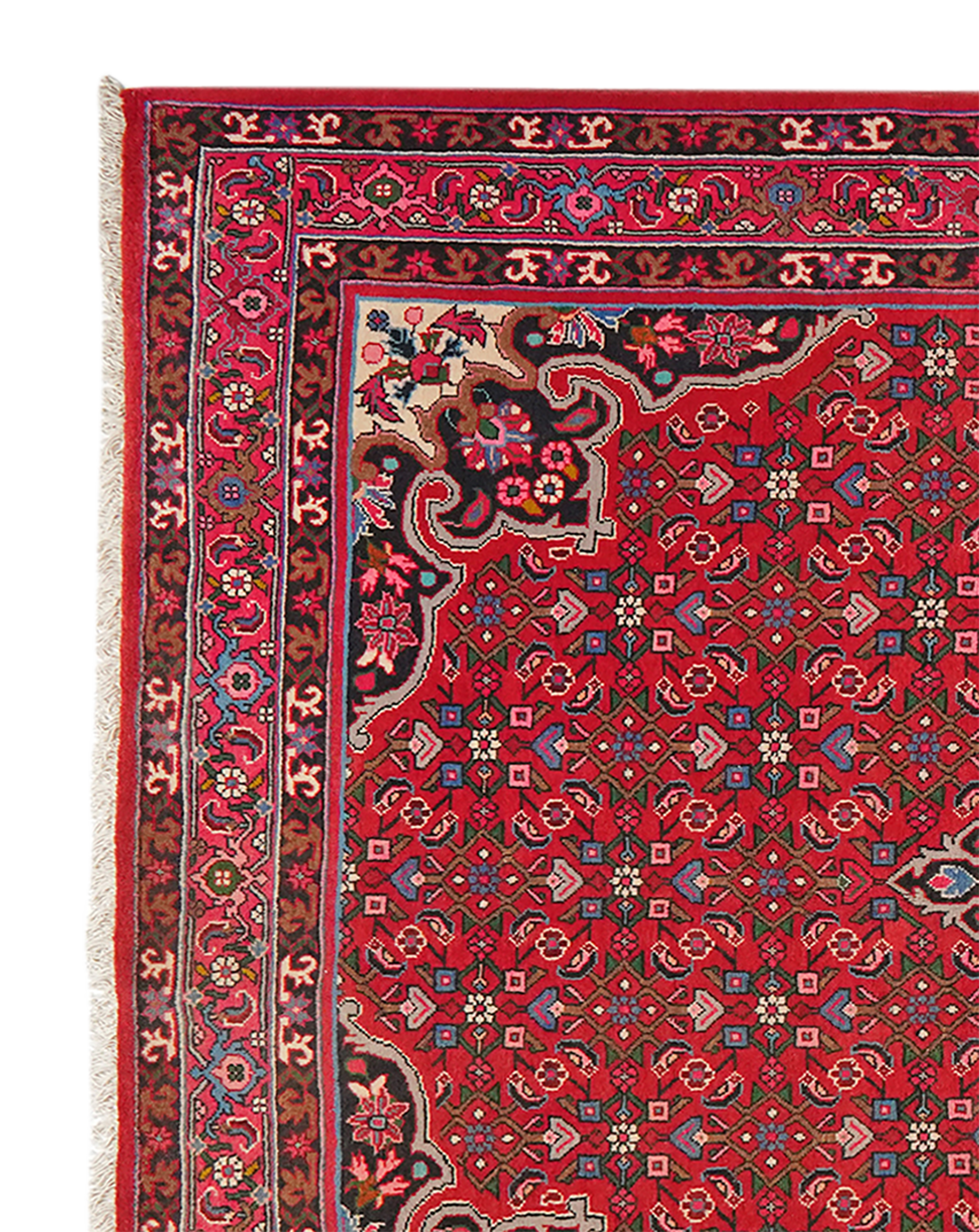 Bidjar — Handgefertigt, 254x155 cm, Rot, 100% Virgin Wool | View 4