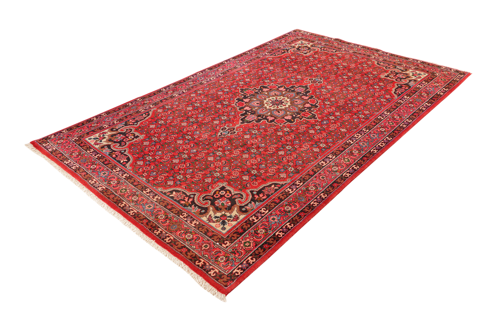 Bidjar — Handgefertigt, 254x155 cm, Rot, 100% Virgin Wool | View 6
