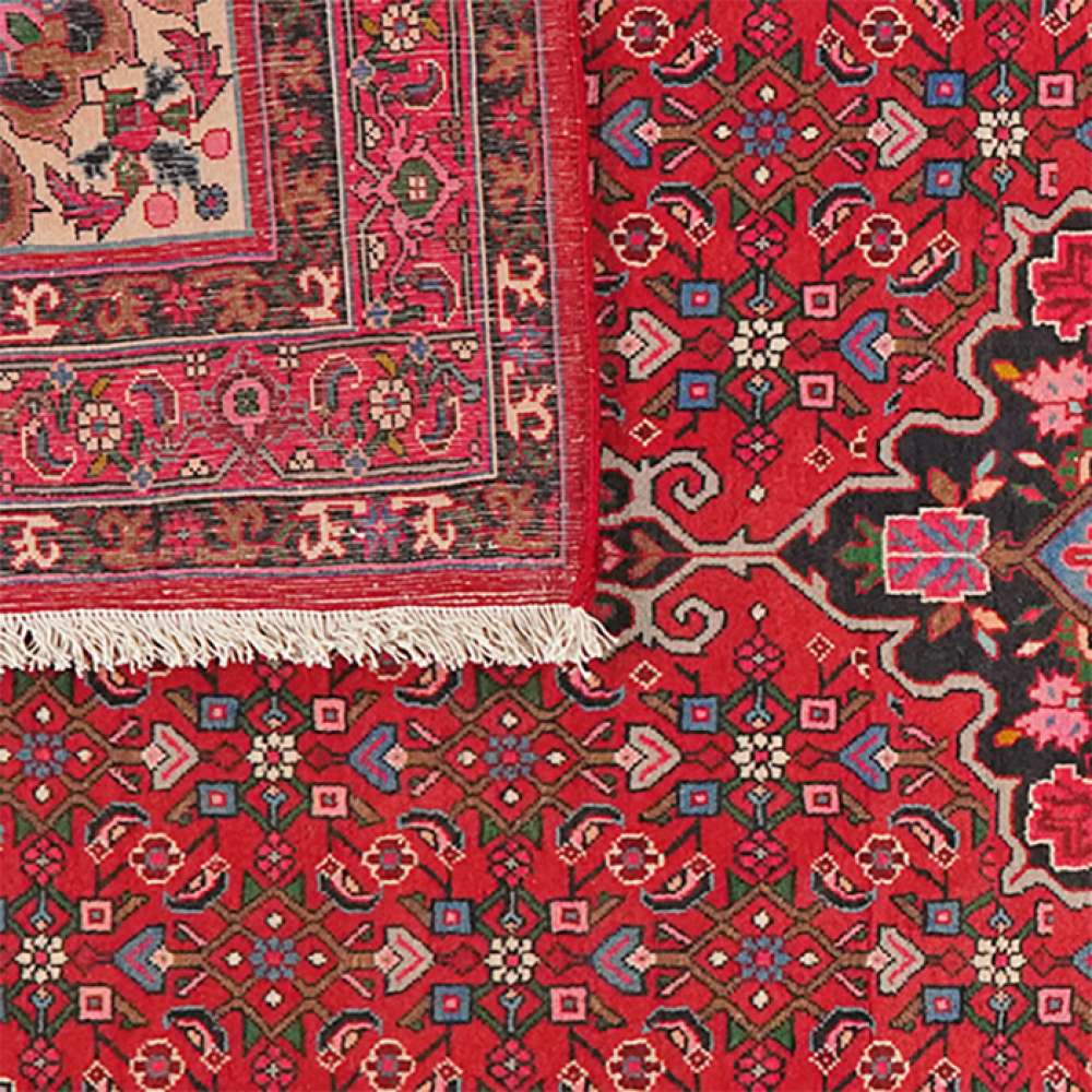 Bidjar — Handgefertigt, 254x155 cm, Rot, 100% Virgin Wool | View 7