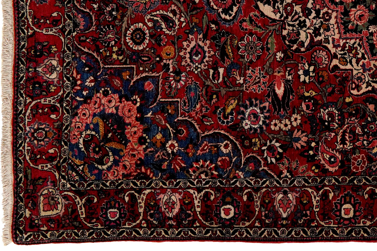Bakhtiar — Hand-knotted, 144x226 cm, Red, 100% Virgin Wool | View 3