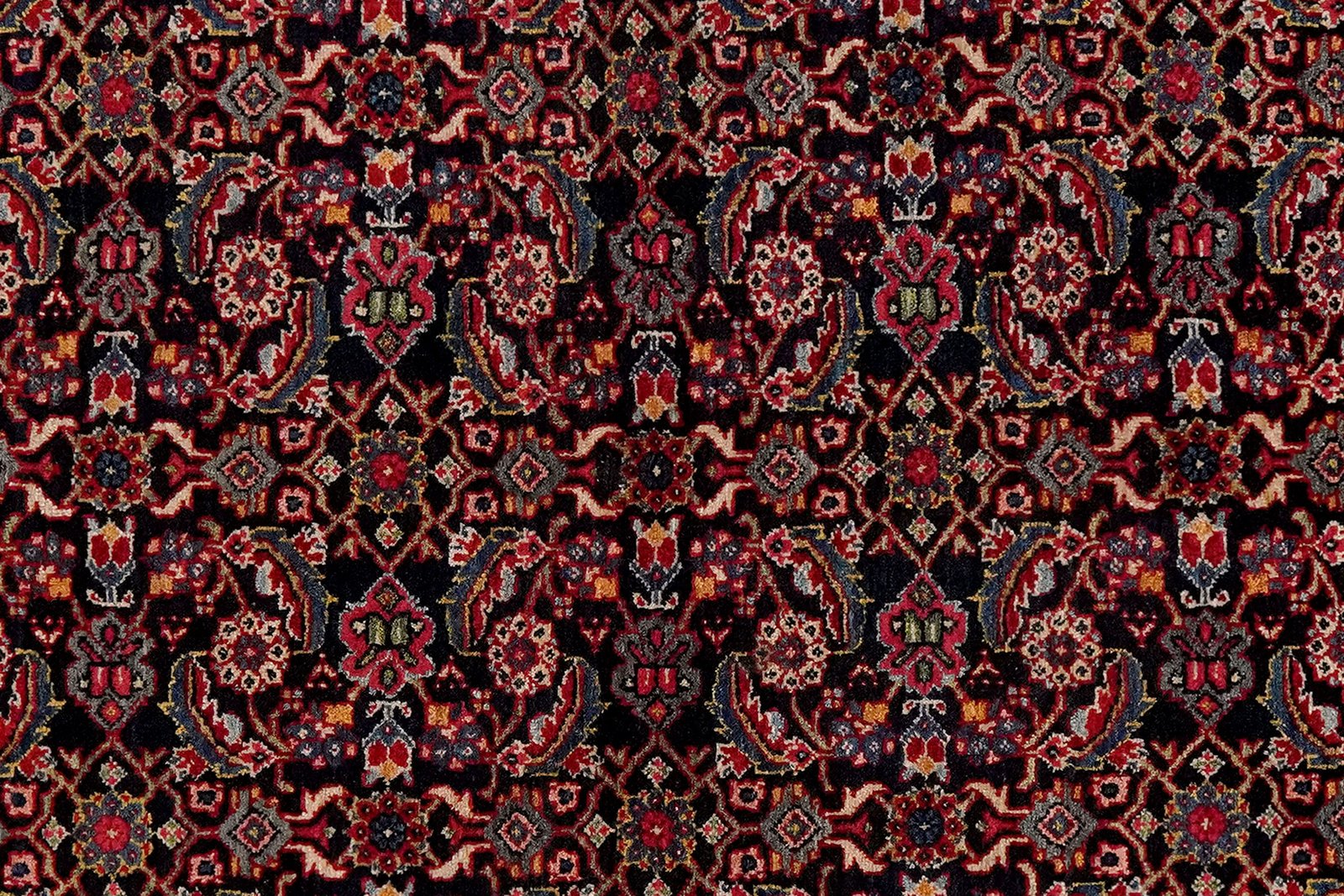 Meyghan — Hand-knotted, 132x200 cm, Blue, 100% Virgin Wool | View 4