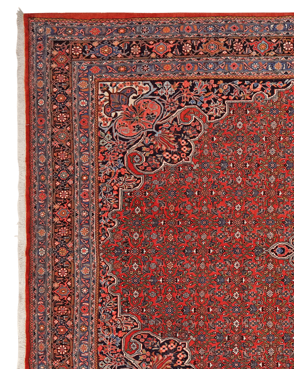Bidjar — Hand-knotted, 212x313 cm, Red, 100% Virgin Wool | View 3