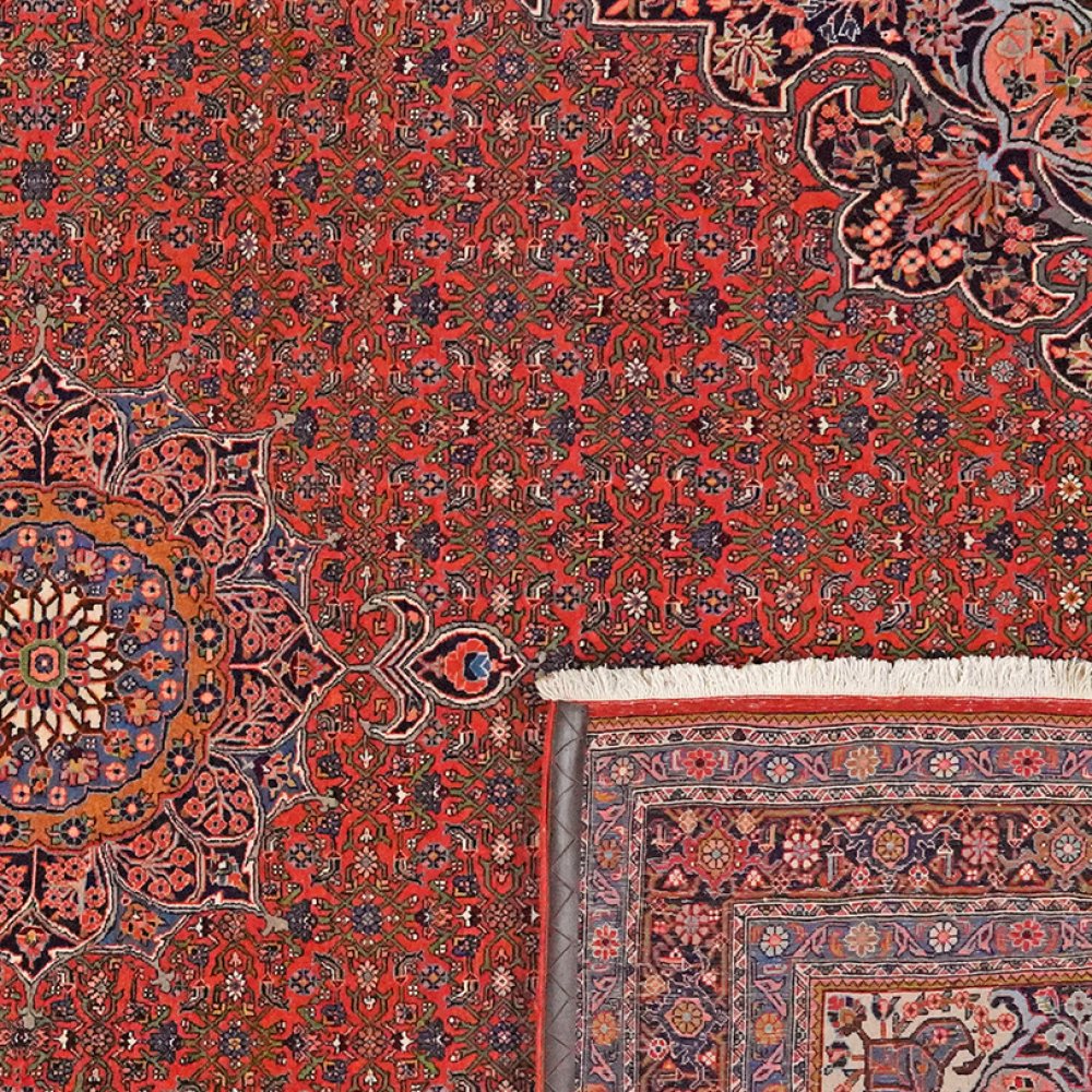 Bidjar — Hand-knotted, 212x313 cm, Red, 100% Virgin Wool | View 6