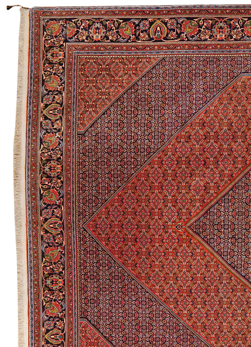 Bidjar — Hand-knotted, 309x400 cm, Red, 100% Virgin Wool | View 3