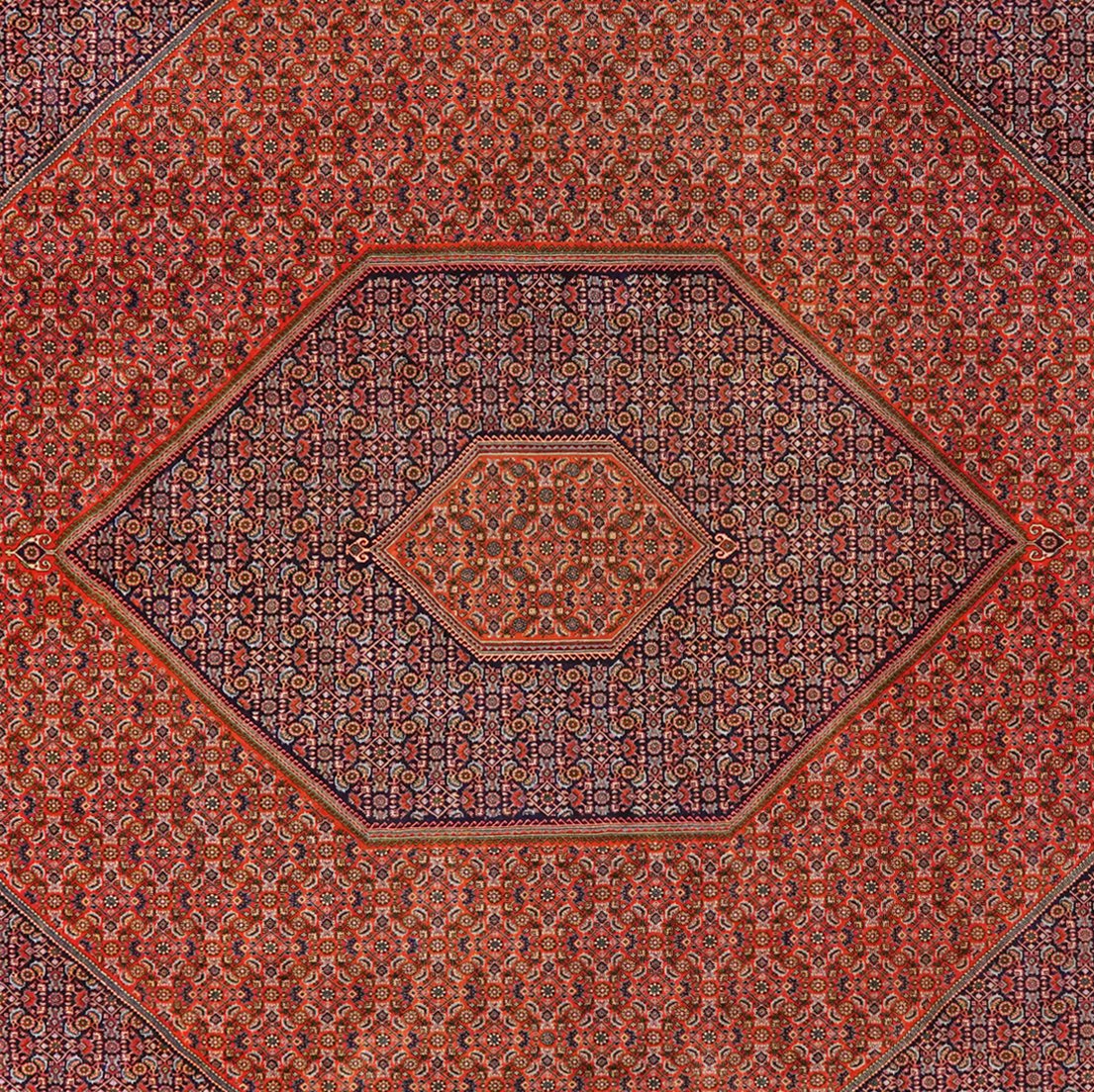 Bidjar — Hand-knotted, 309x400 cm, Red, 100% Virgin Wool | View 4