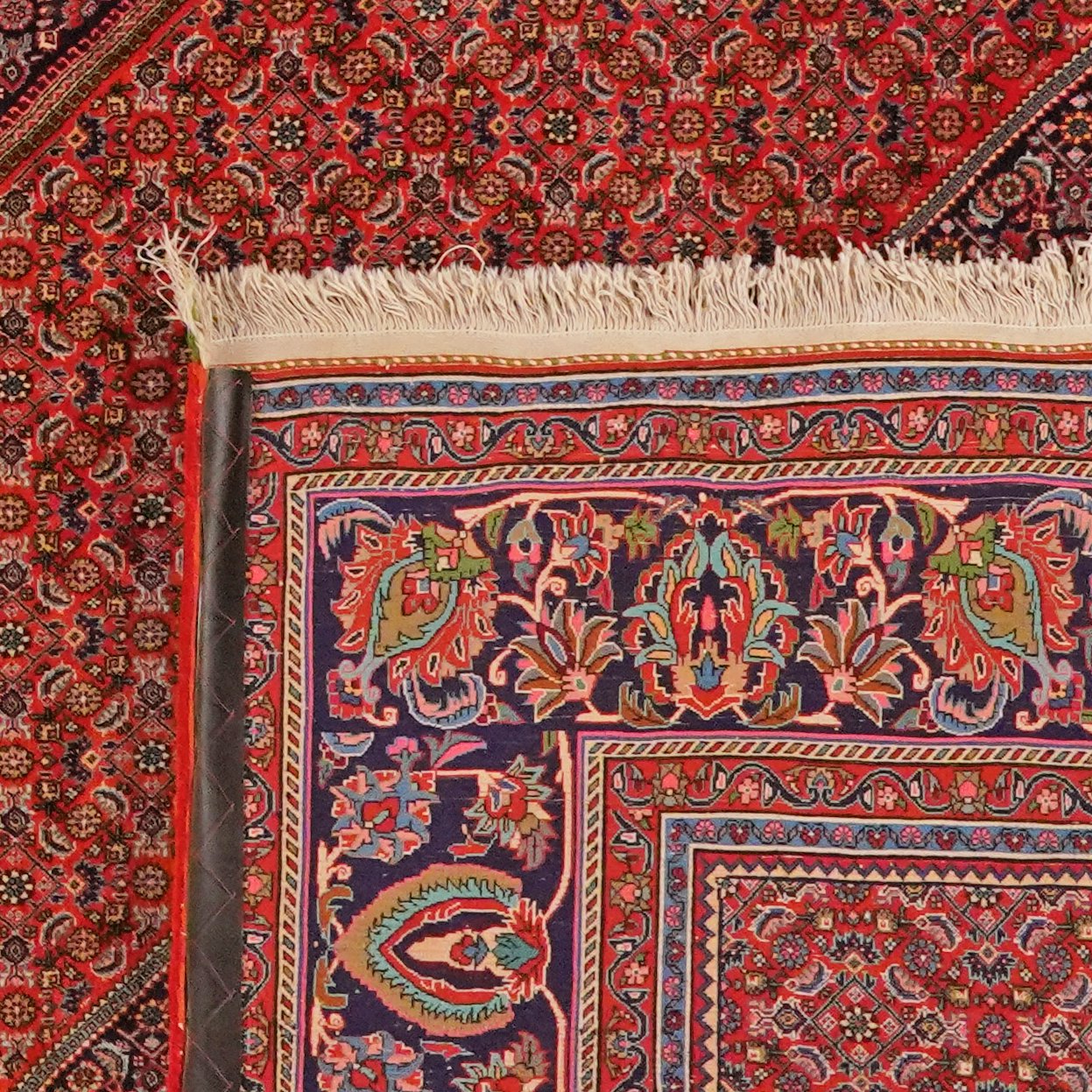 Bidjar — Hand-knotted, 309x400 cm, Red, 100% Virgin Wool | View 6
