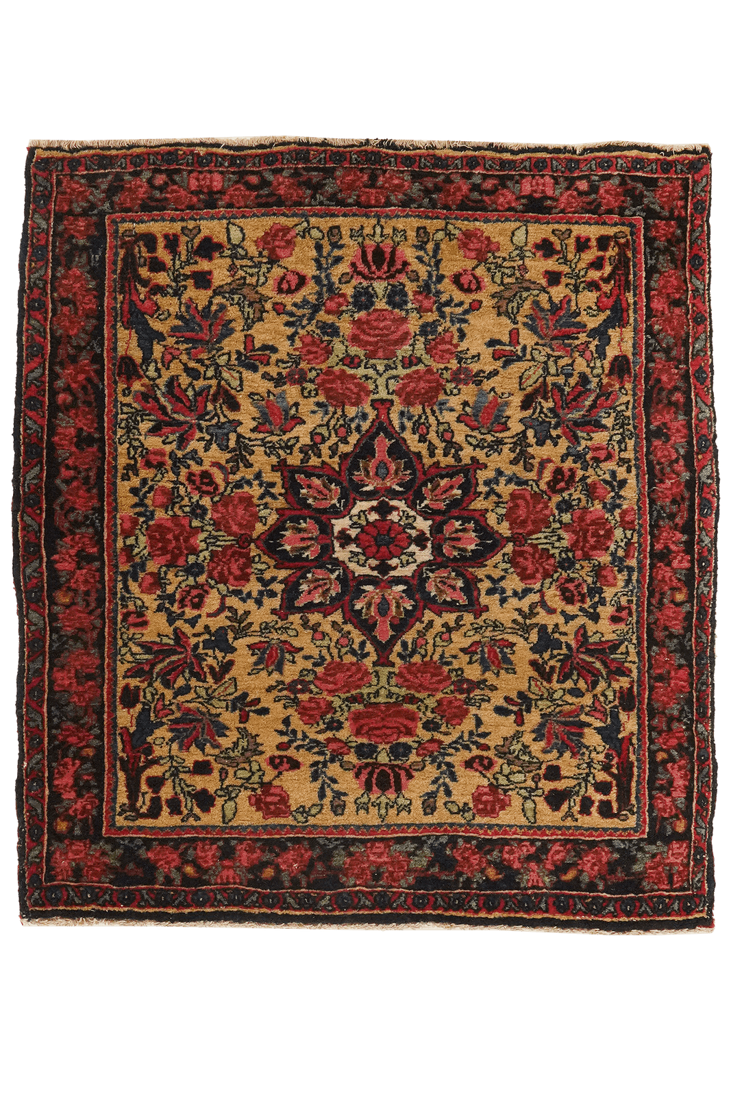 Bidjar — Hand-knotted, 70x76 cm, Beige, 100% Virgin Wool | Main view