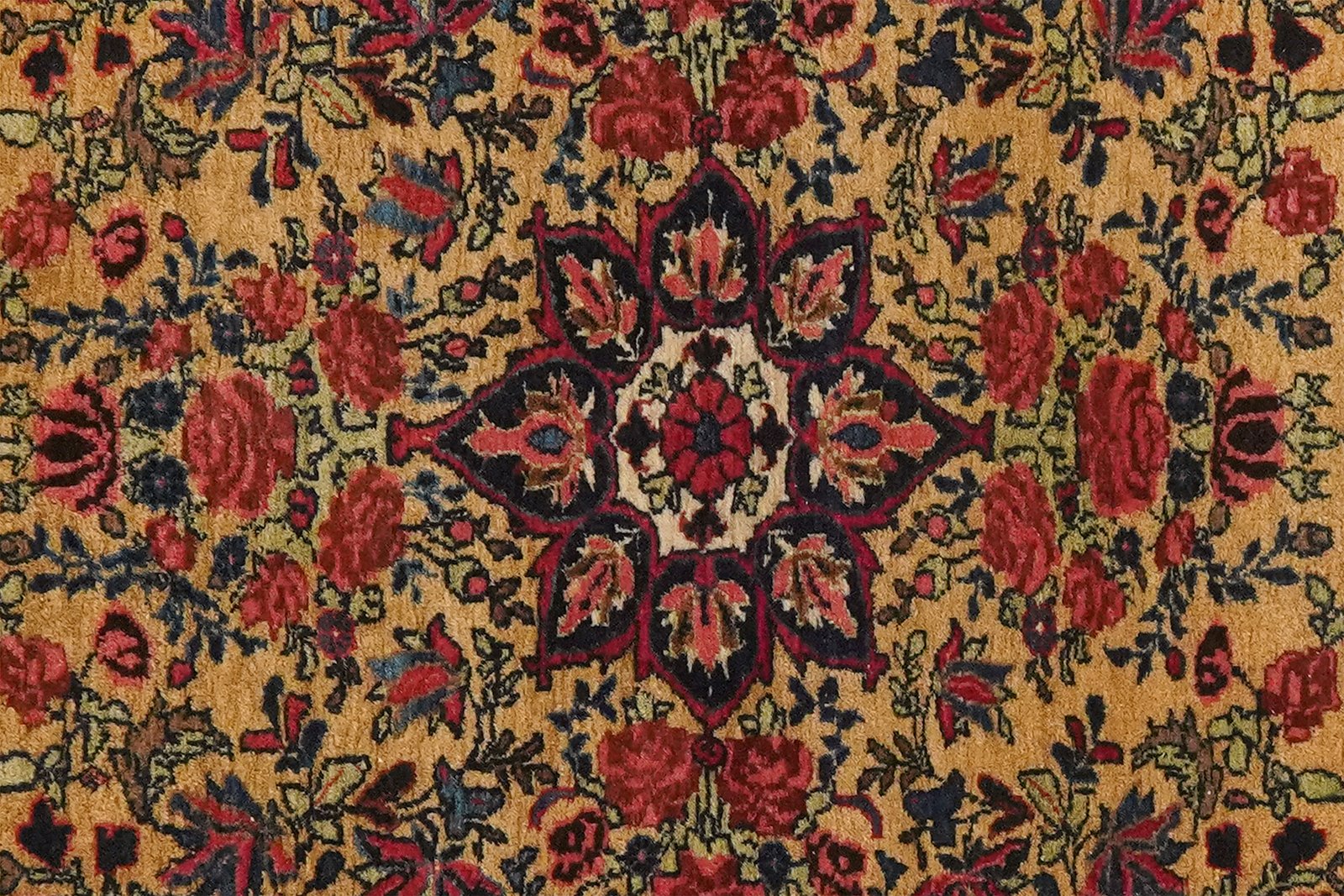 Bidjar — Hand-knotted, 70x76 cm, Beige, 100% Virgin Wool | View 4