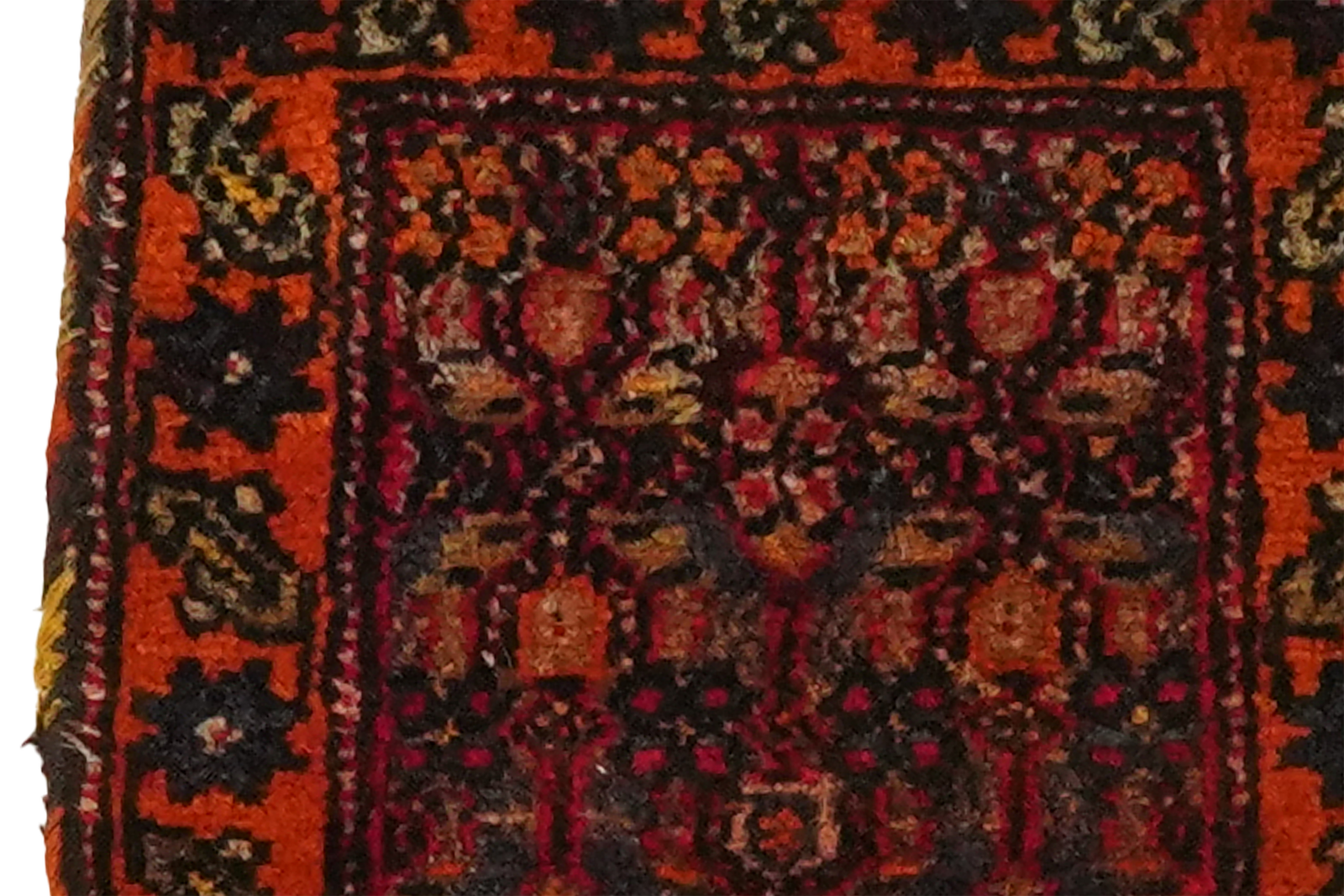 Bidjar — Handgefertigt, 31x30 cm, Orange, 100% Virgin Wool | Detail view