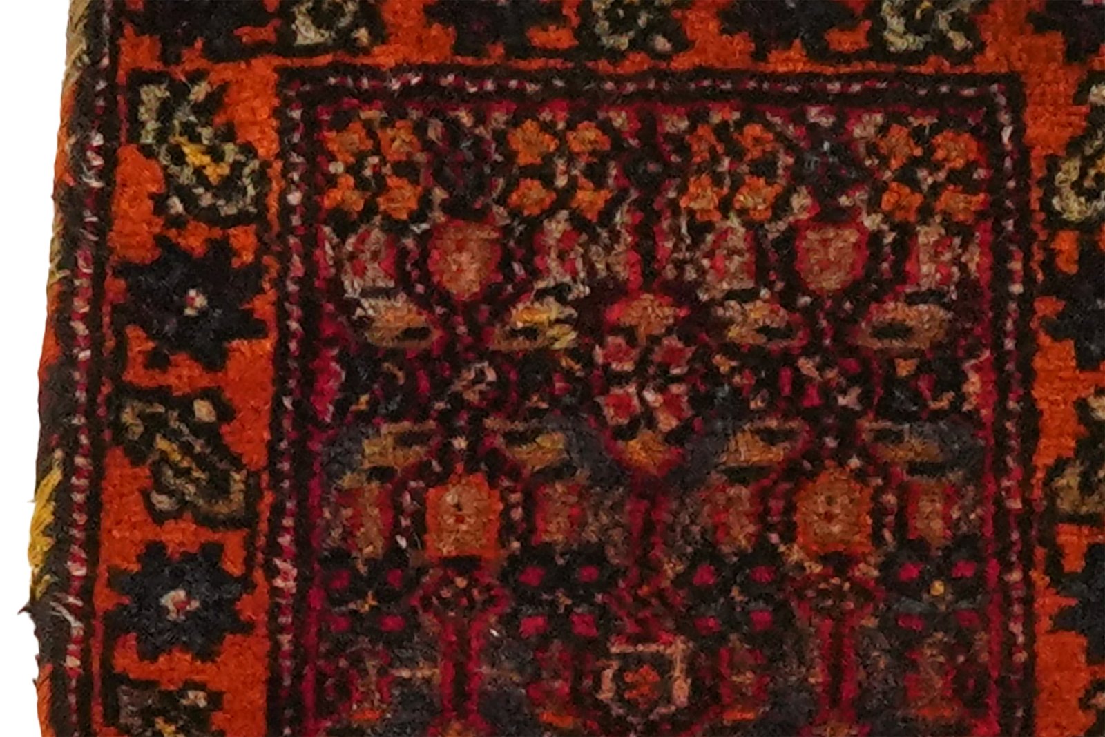 Bidjar — Hand-knotted, 30x31 cm, Multicolor, 100% Virgin Wool | View 3
