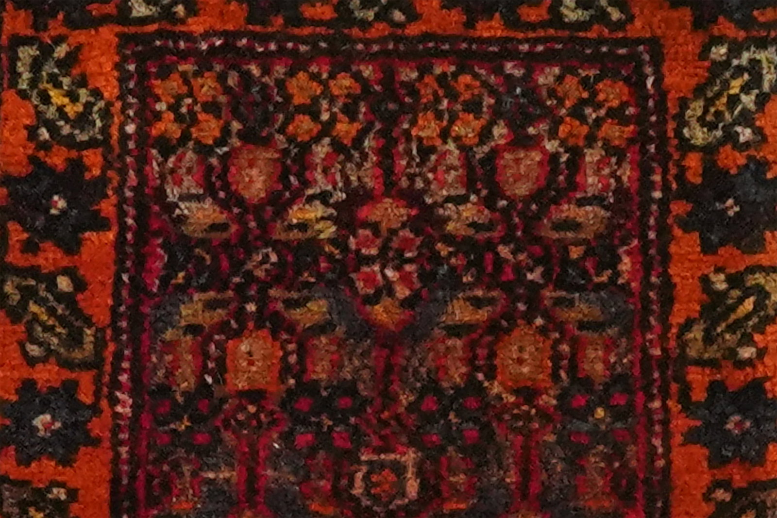 Bidjar — Handgefertigt, 31x30 cm, Orange, 100% Virgin Wool | Back view