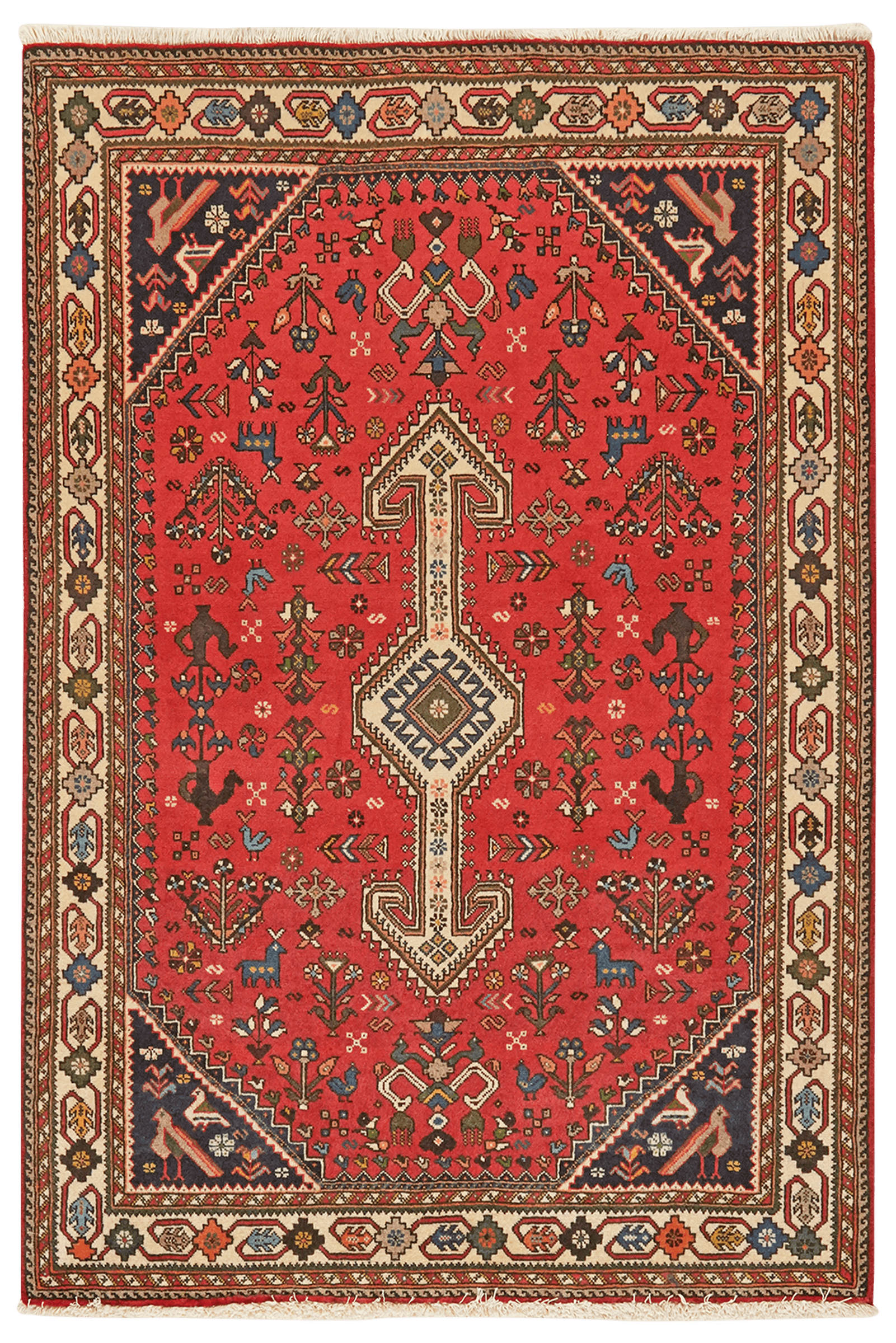 Nasrabad — Hand-knotted, 100x146 cm, Red, 100% Virgin Wool | Main view