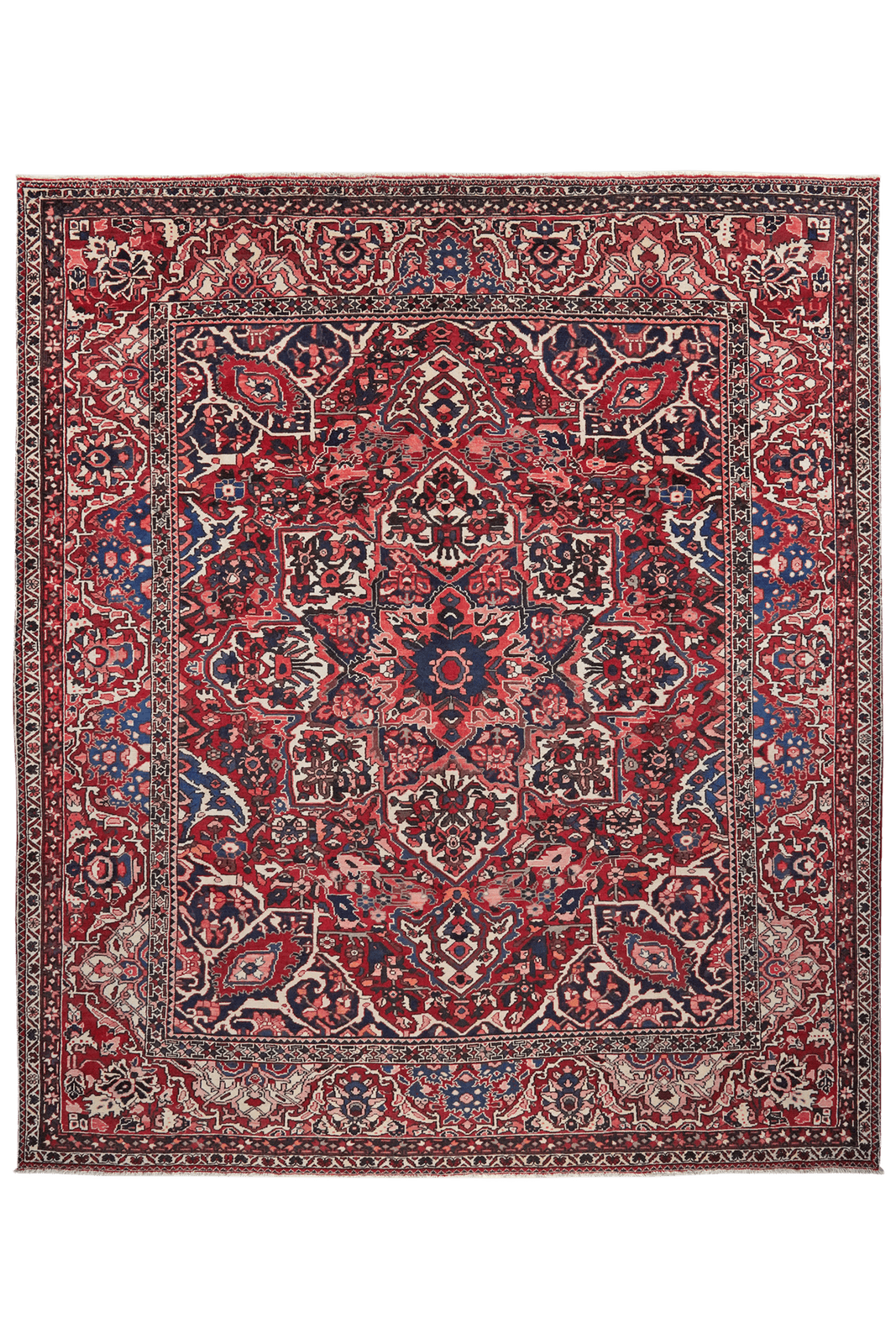 Bakhtiar — Hand-knotted, 296x338 cm, Red, 100% Virgin Wool | Main view