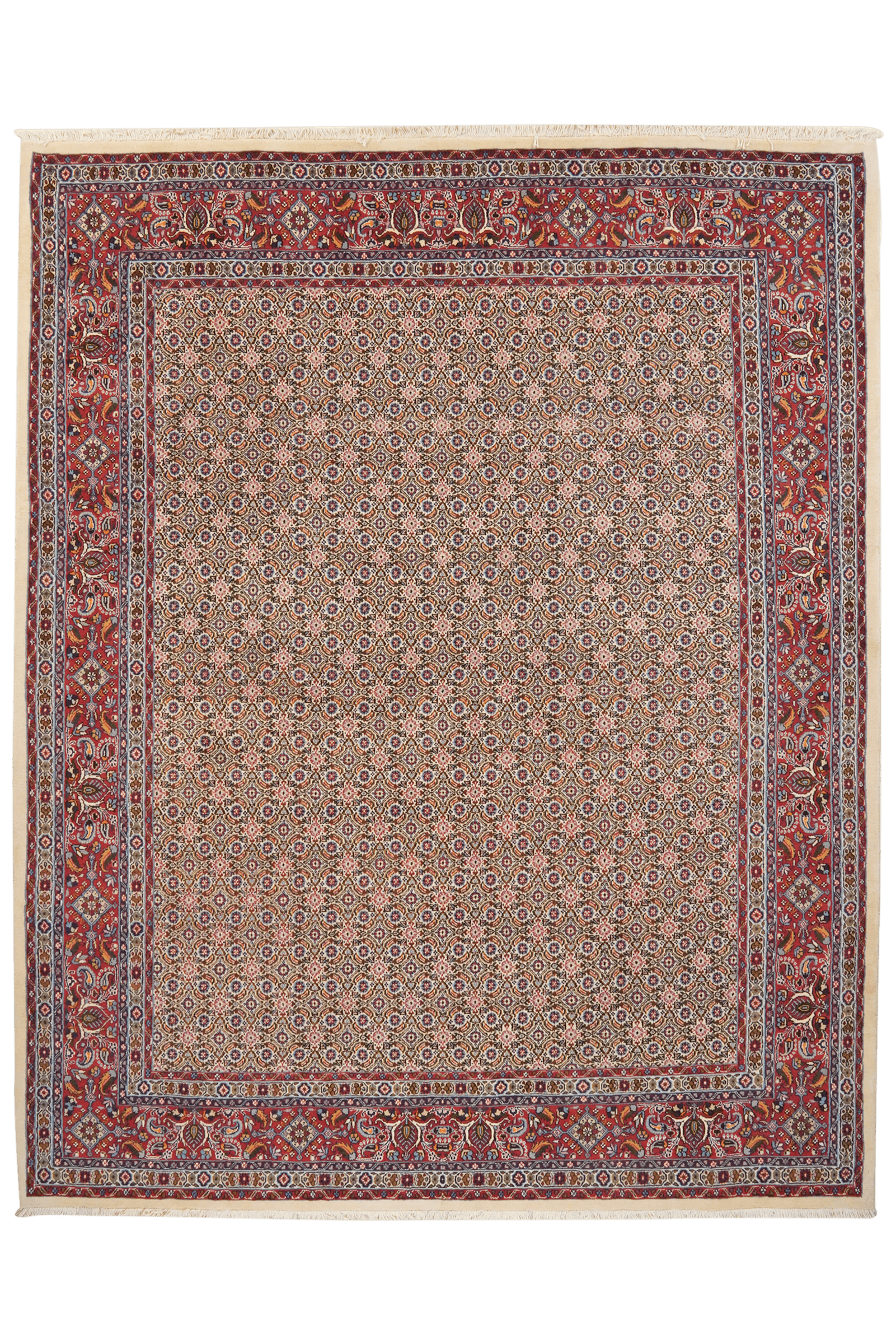 Moud Mahi — Hand-knotted, 202x248 cm, Beige, 100% Virgin Wool | Main view