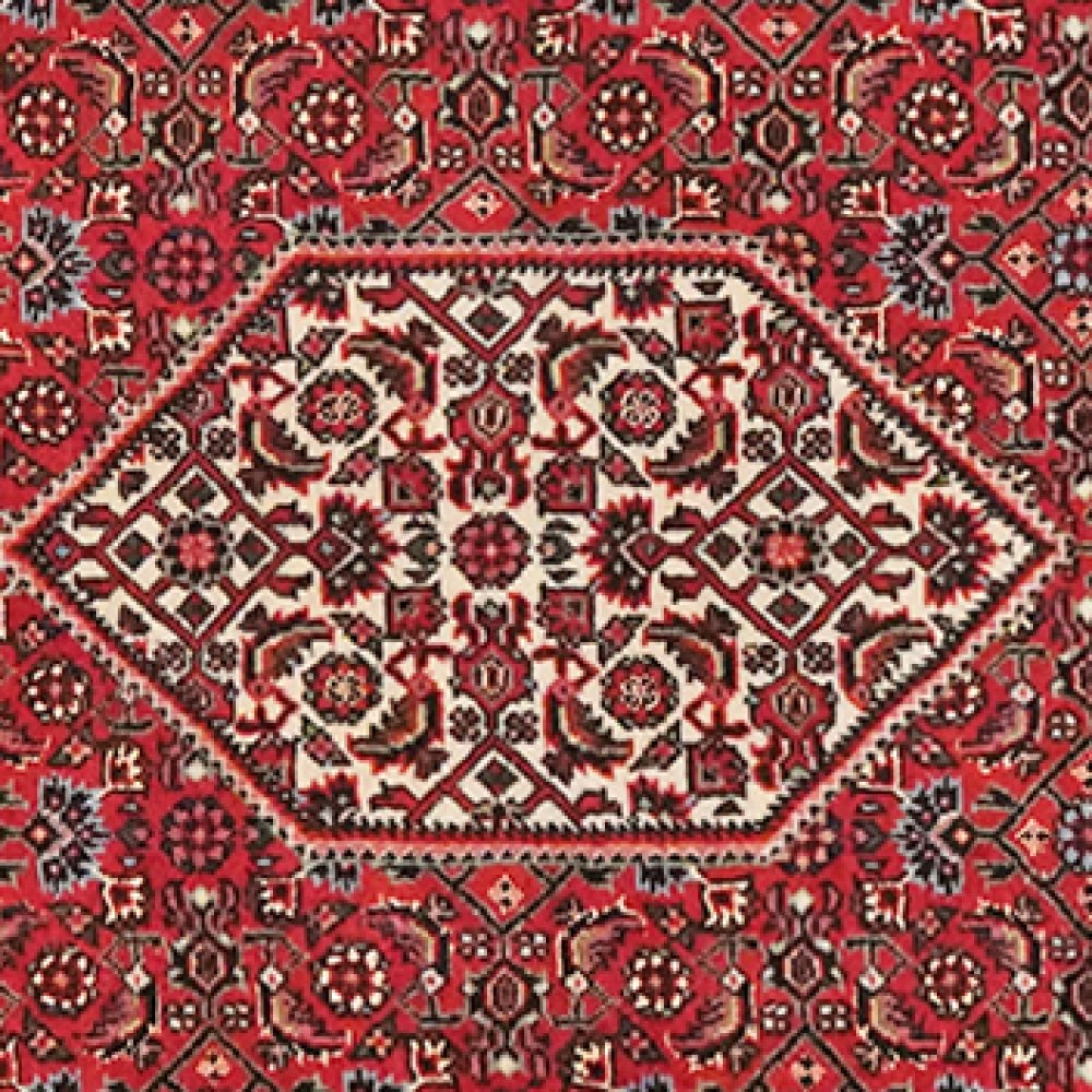 Bidjar Bookan — Hand-knotted, 73x205 cm, Red, 100% Virgin Wool | View 4