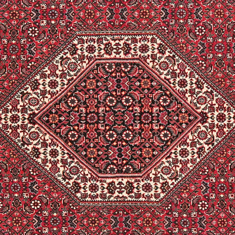 Bidjar Bookan — Hand-knotted, 113x184 cm, Red, 100% Virgin Wool | View 4
