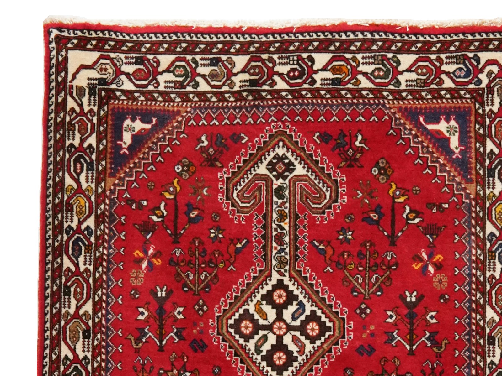 Nasrabad — Hand-knotted, 85x287 cm, Red, 100% Virgin Wool | View 3