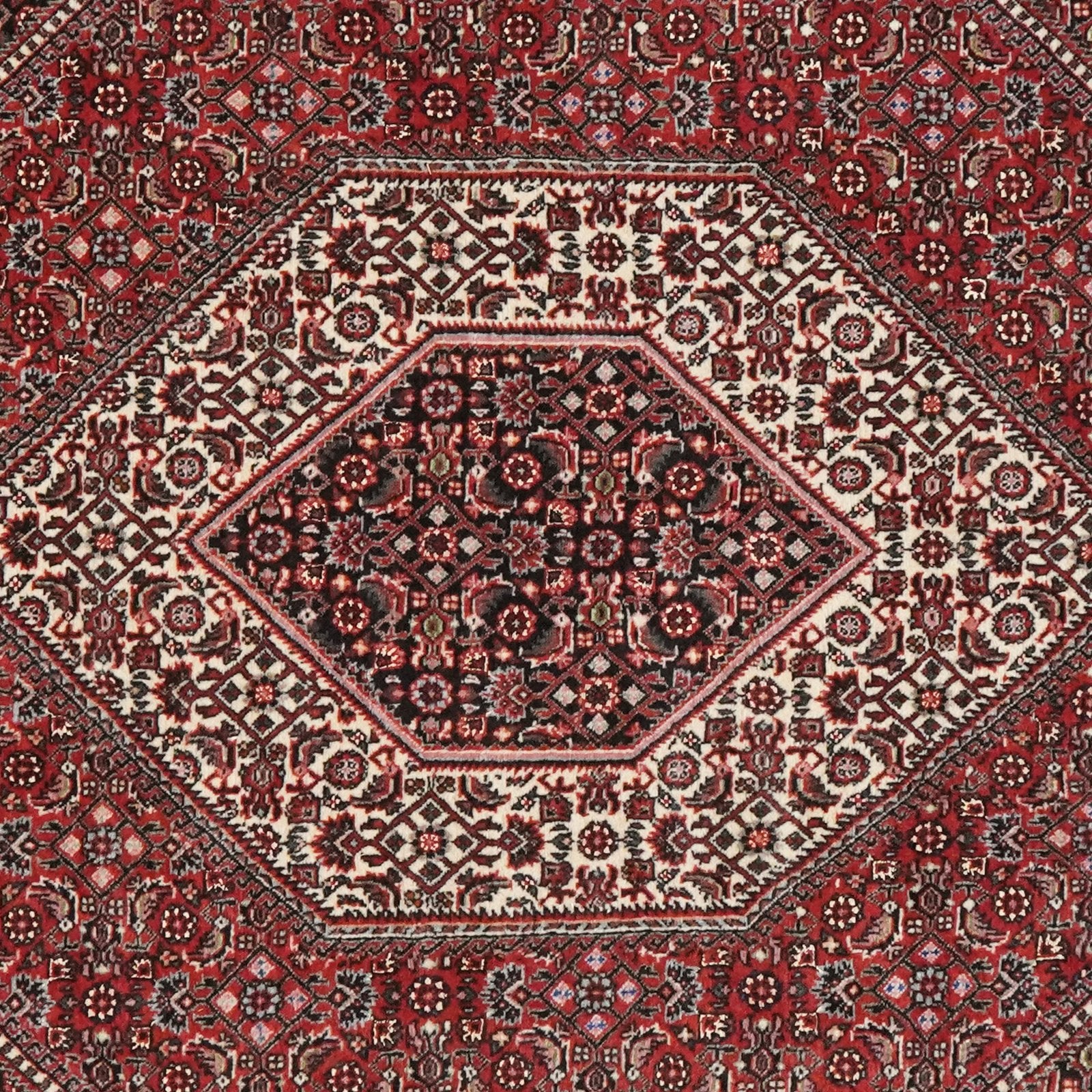 Bidjar Bookan — Hand-knotted, 114x181 cm, Red, 100% Virgin Wool | View 4