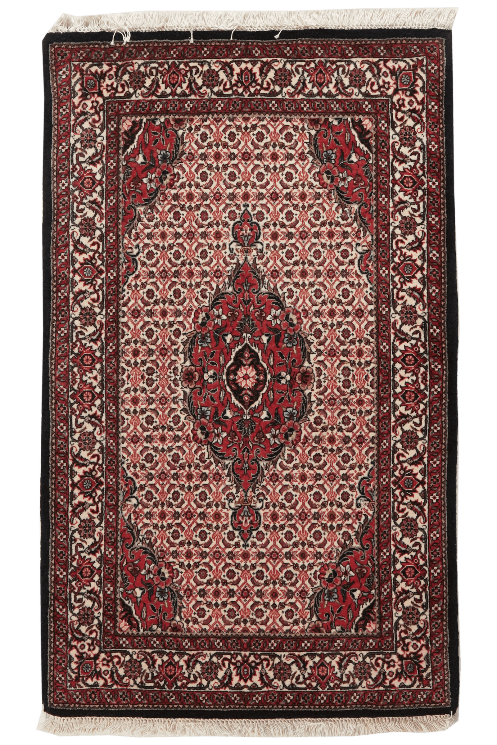 Bidjar Bookan — Hand-knotted, 75x125 cm, Beige, 100% Virgin Wool | Main view
