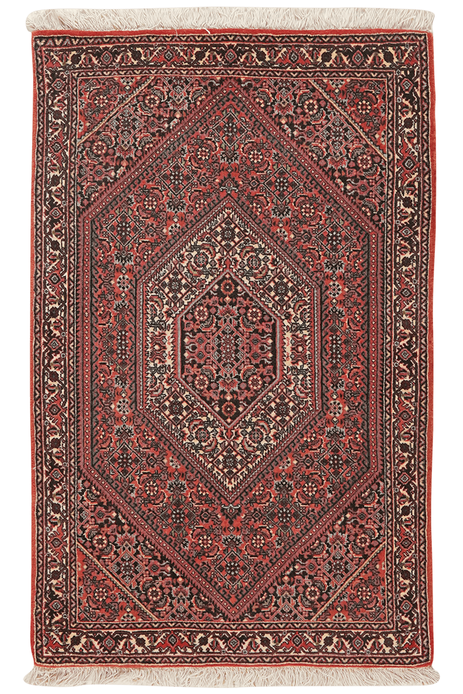 Bidjar Bookan — Hand-knotted, 73x114 cm, Red, 100% Virgin Wool | Main view