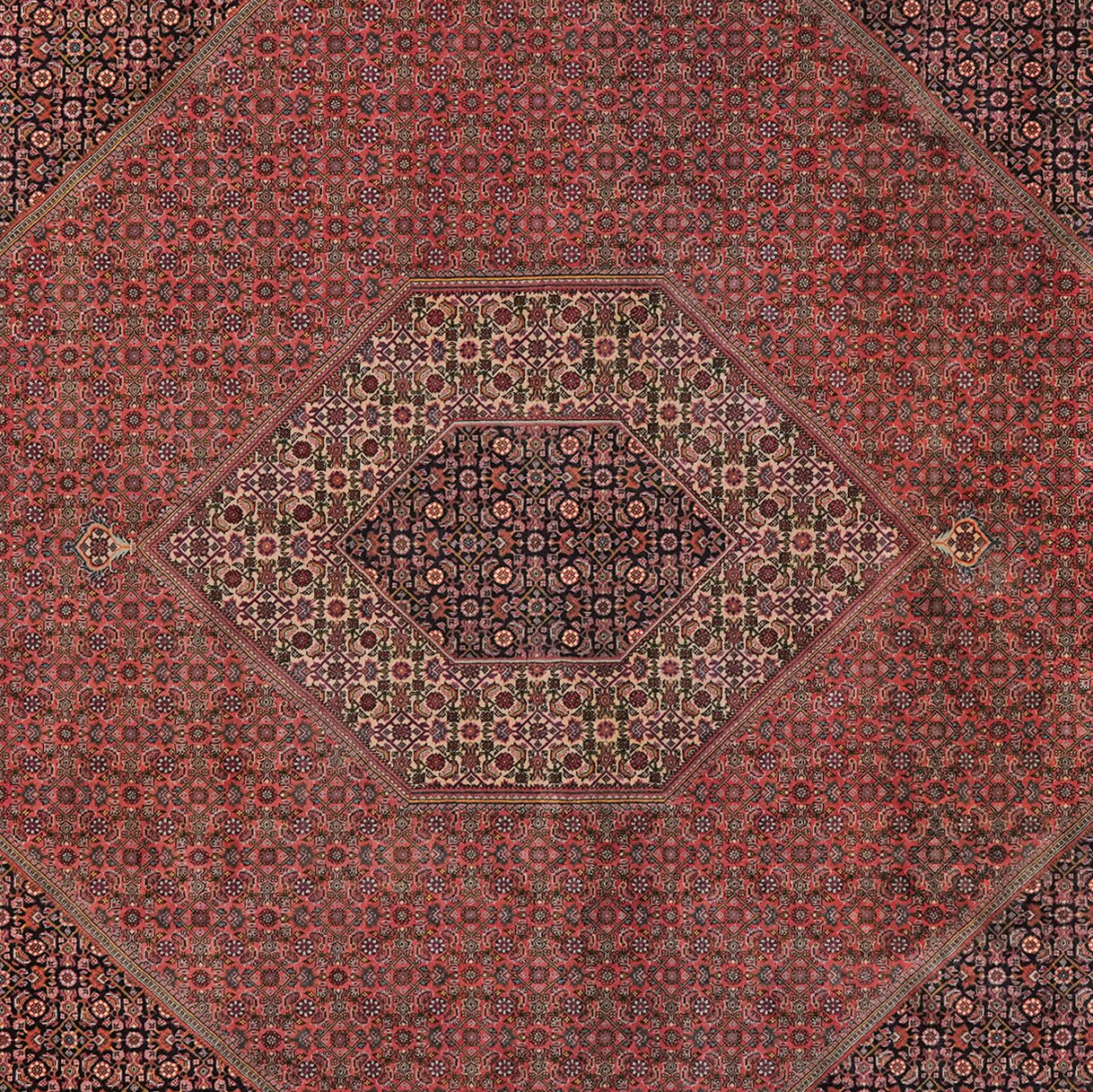 Bidjar — Hand-knotted, 258x362 cm, Red, 100% Virgin Wool | View 4