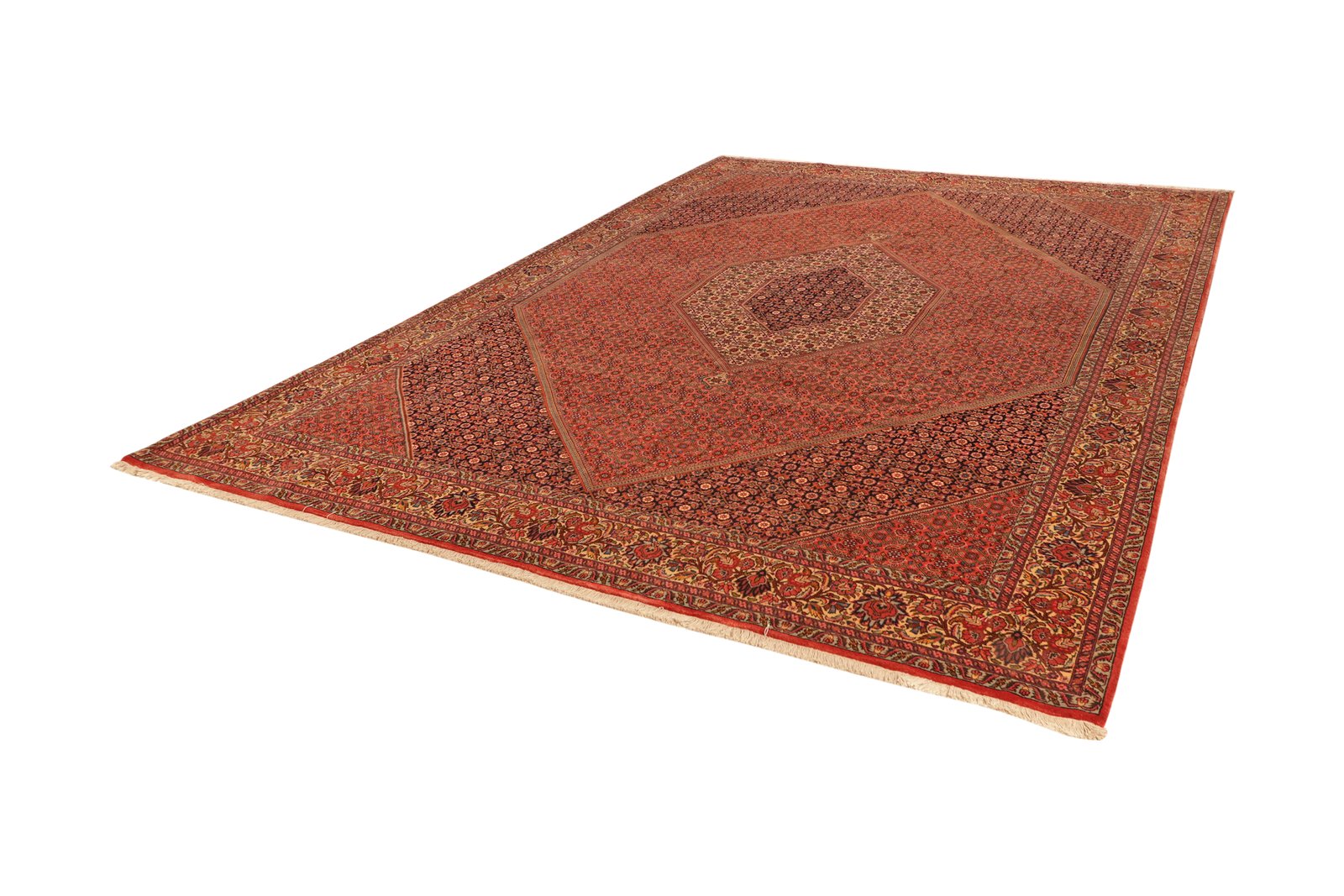 Bidjar — Hand-knotted, 258x362 cm, Red, 100% Virgin Wool | View 5