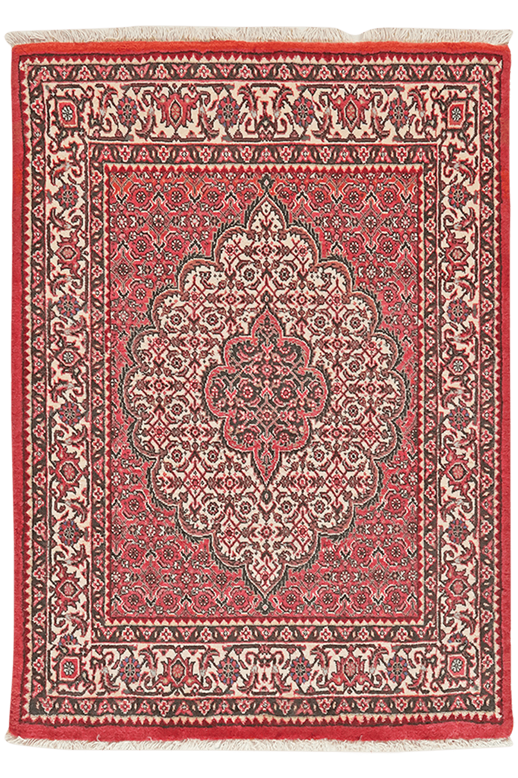 Bidjar Bookan — Hand-knotted, 74x101 cm, Red, 100% Virgin Wool | Main view
