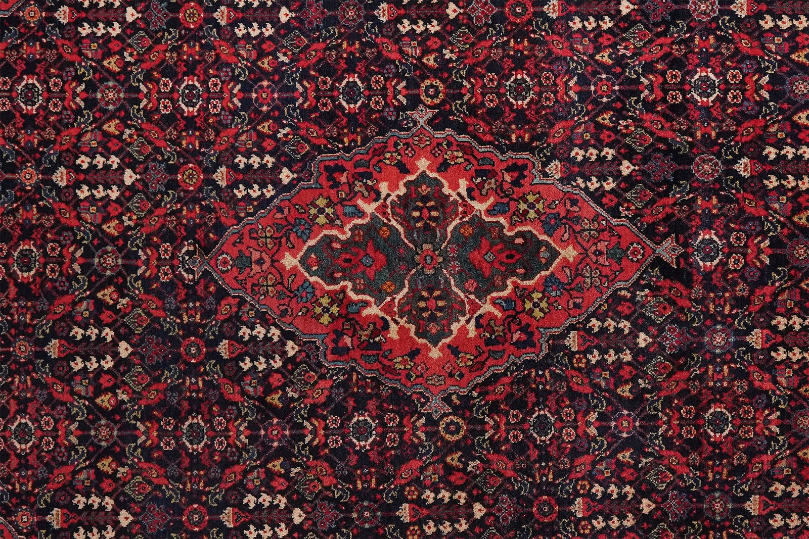 Meyghan — Hand-knotted, 127x211 cm, Blue, 100% Virgin Wool | View 4