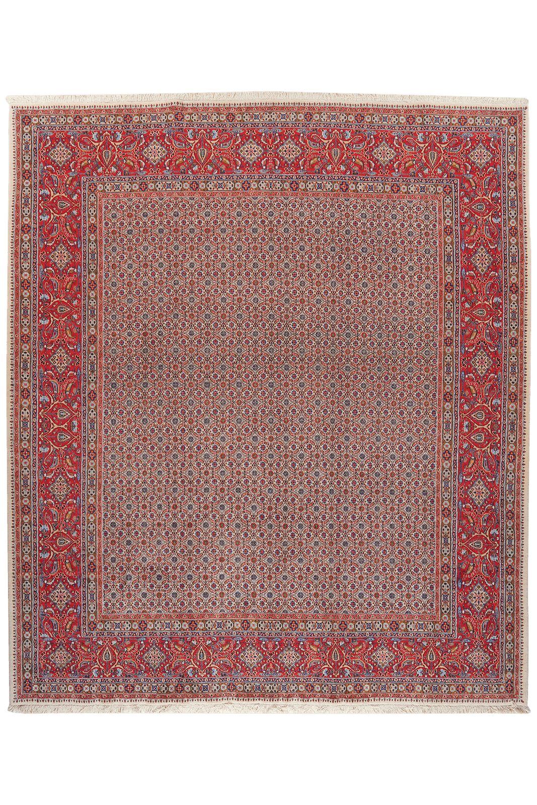 Moud Mahi — Hand-knotted, 247x284 cm, Beige, 100% Virgin Wool | Main view