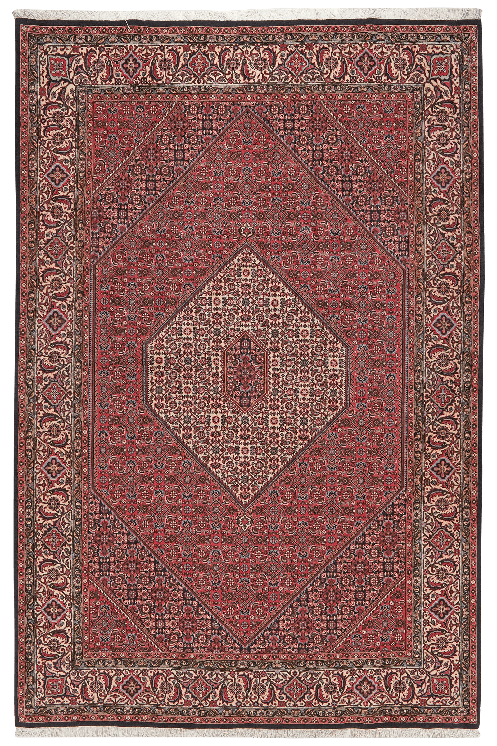 Bidjar Zandjan — Hand-knotted, 200x309 cm, Red, 100% Virgin Wool | Main view
