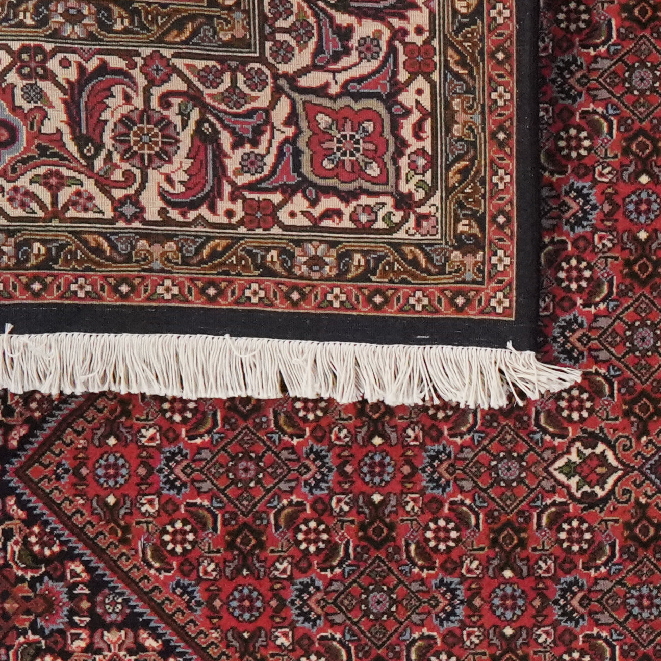 Bidjar Zandjan — Hand-knotted, 200x309 cm, Red, 100% Virgin Wool | View 6