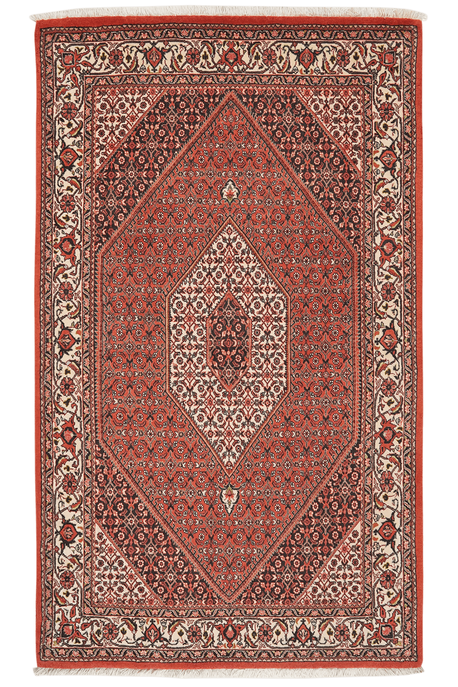 Bidjar Bookan — Hand-knotted, 102x175 cm, Red, 100% Virgin Wool | Main view