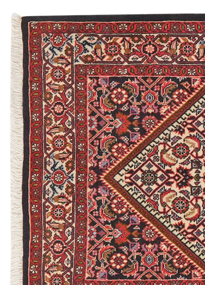 Bidjar Zandjan — Hand-knotted, 85x148 cm, Beige, 100% Virgin Wool | View 3
