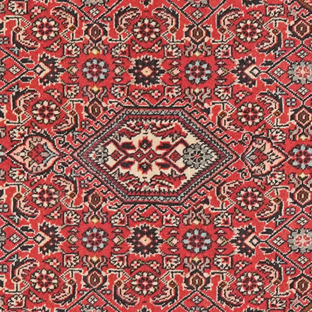Bidjar Zandjan — Hand-knotted, 83x157 cm, Red, 100% Virgin Wool | View 4