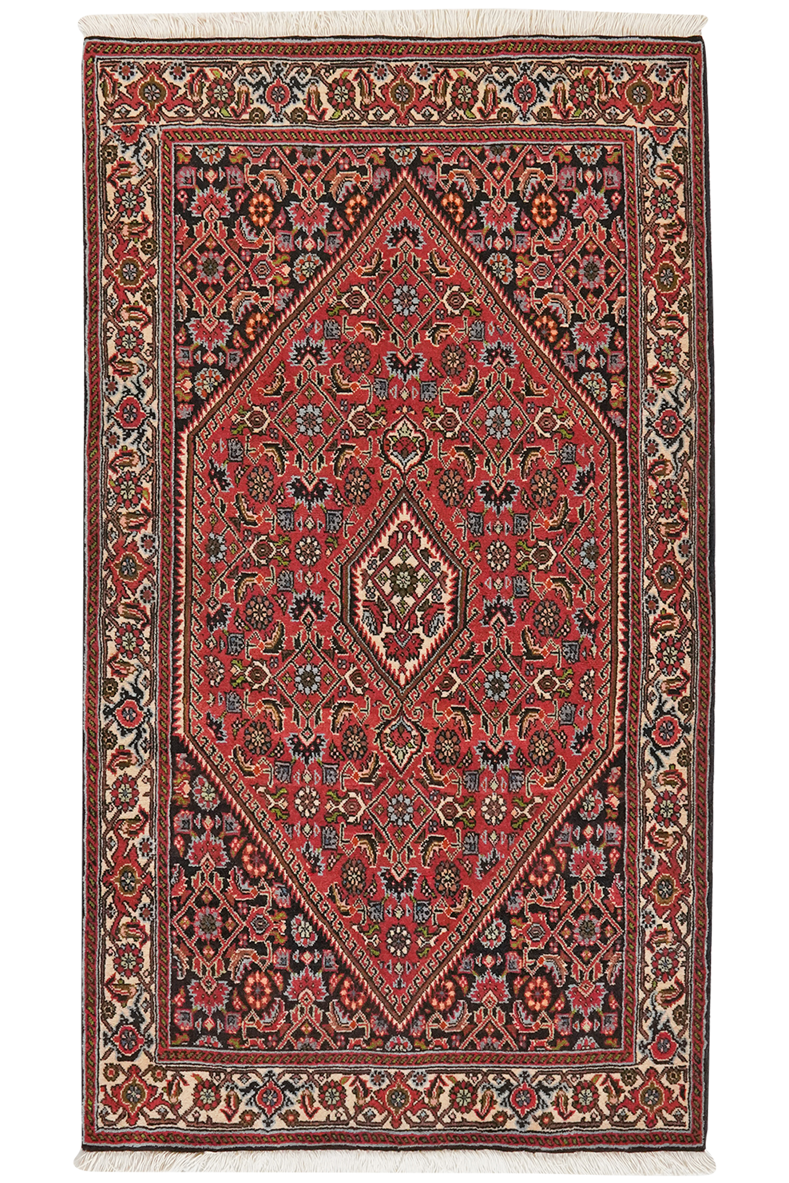 Bidjar Zandjan — Handgefertigt, 152x86 cm, Beige, 100% Virgin Wool | Main view