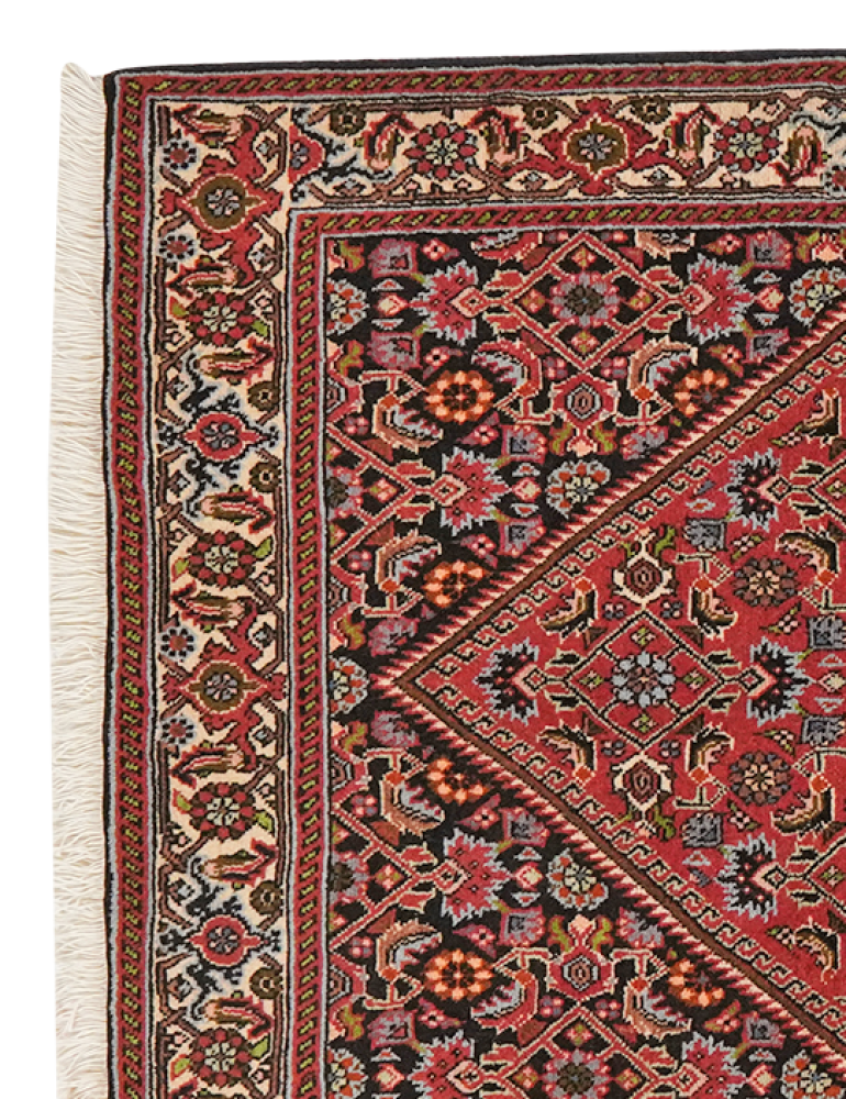 Bidjar Zandjan — Handgefertigt, 152x86 cm, Beige, 100% Virgin Wool | View 4