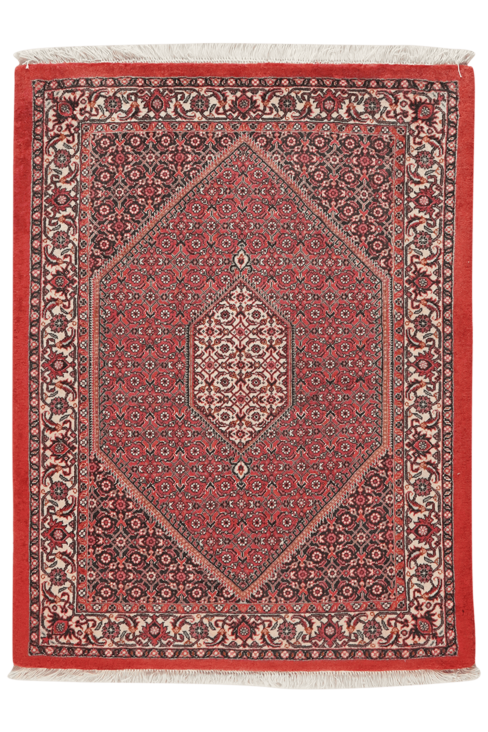 Bidjar Bookan — Hand-knotted, 82x107 cm, Red, 100% Virgin Wool | Main view