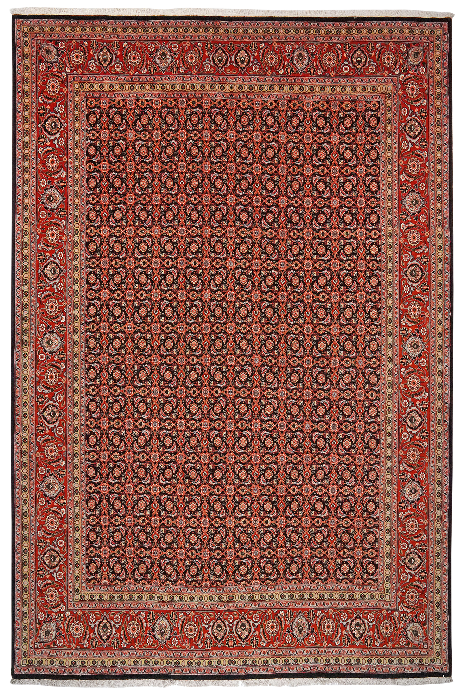 Tabriz 50 Raj — Handgefertigt, 295x201 cm, Rot, 100% Virgin Wool | Main view