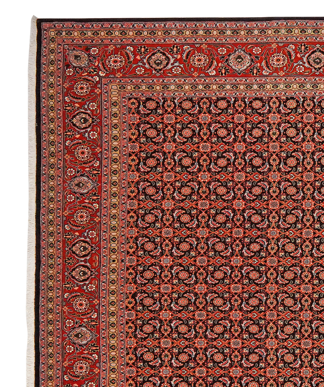 Tabriz 50 Raj — Handgefertigt, 295x201 cm, Rot, 100% Virgin Wool | View 4