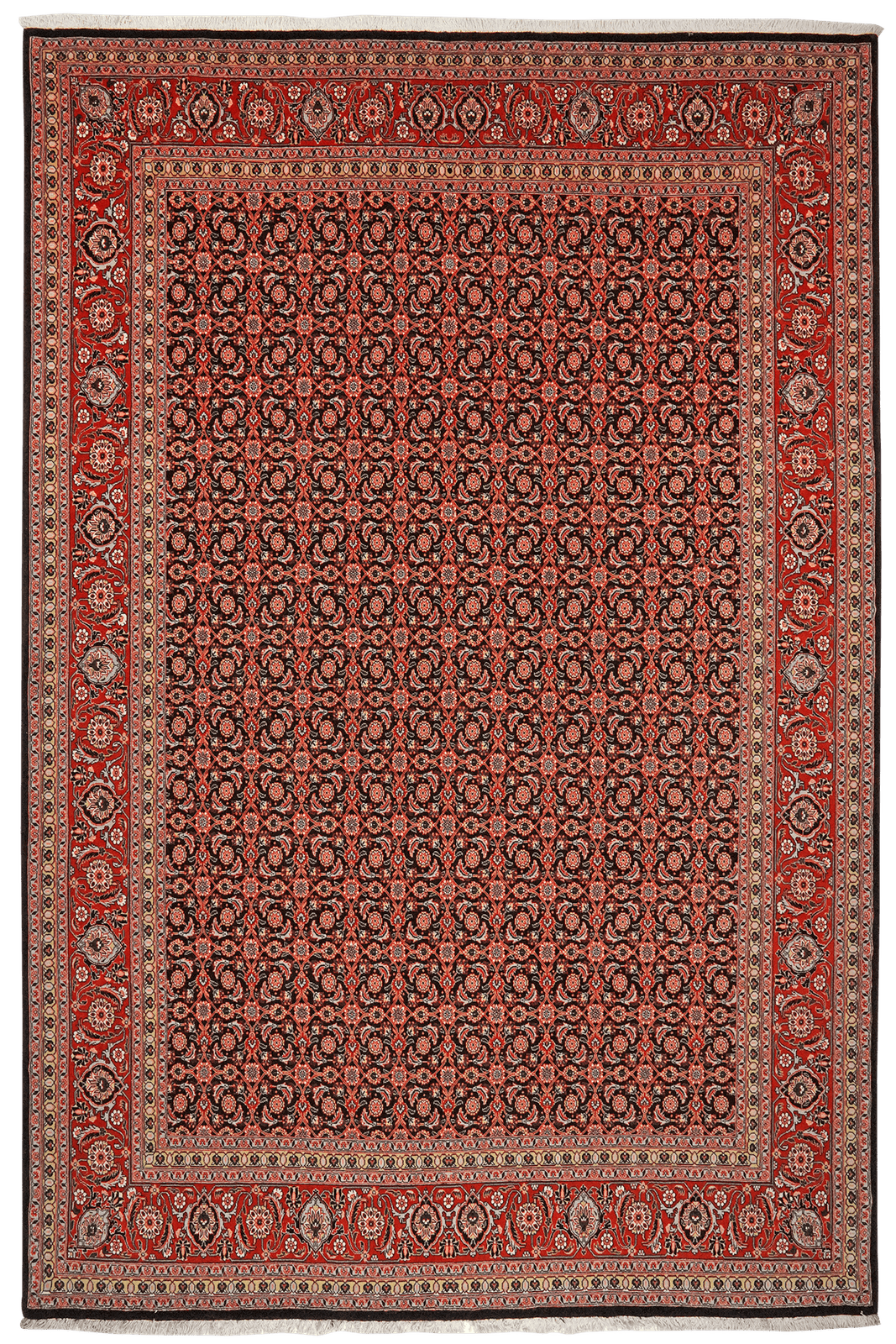 Tabriz 50 Raj — Hand-knotted, 201x295 cm, Blue, 100% Virgin Wool | Main view
