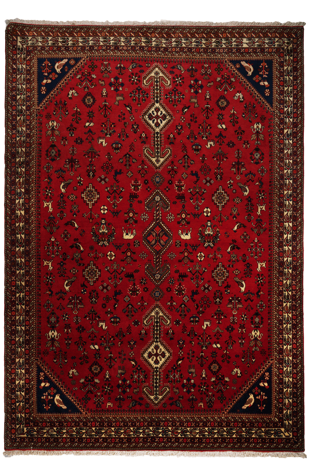 Nasrabad — Hand-knotted, 203x295 cm, Red, 100% Virgin Wool | Main view