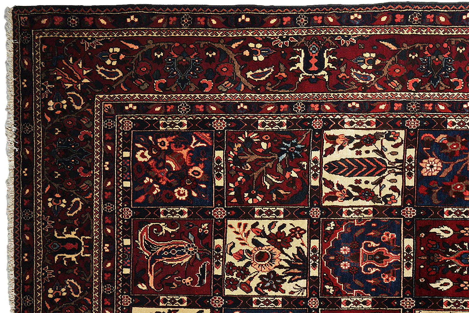 Bakhtiar — Hand-knotted, 202x305 cm, Multicolor, 100% Virgin Wool | View 3