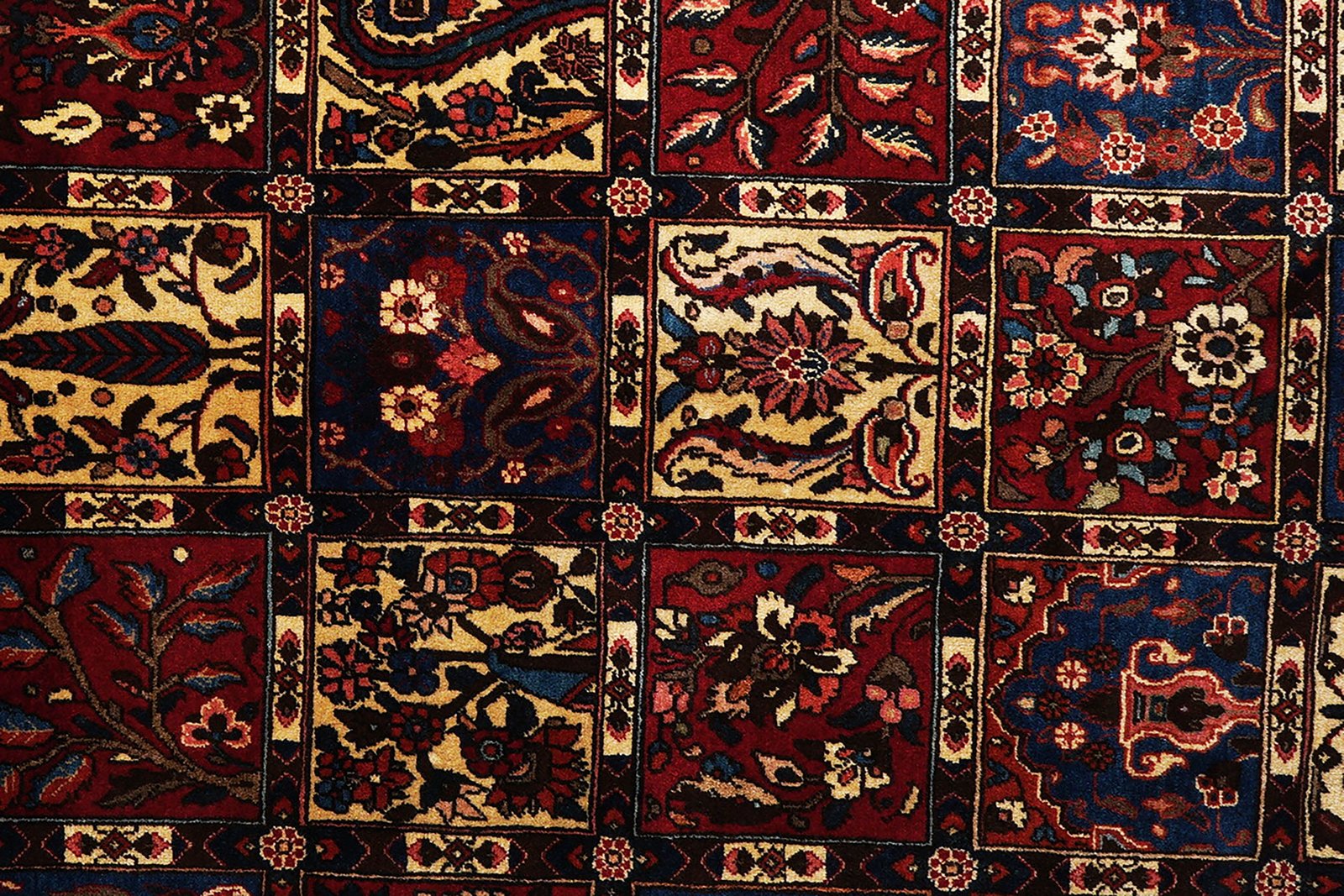 Bakhtiar — Hand-knotted, 202x305 cm, Multicolor, 100% Virgin Wool | View 7