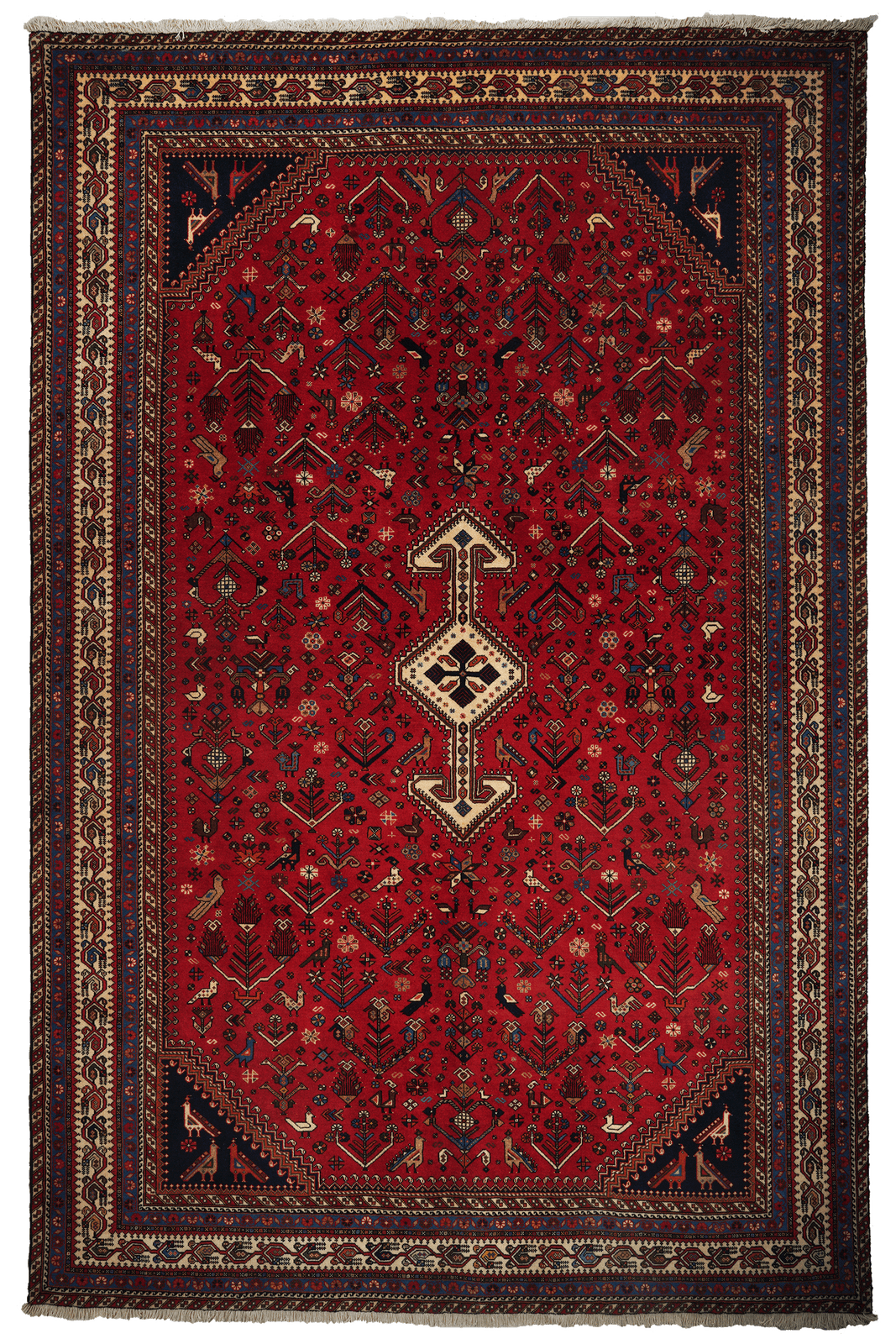 Nasrabad — Hand-knotted, 196x302 cm, Red, 100% Virgin Wool | Main view
