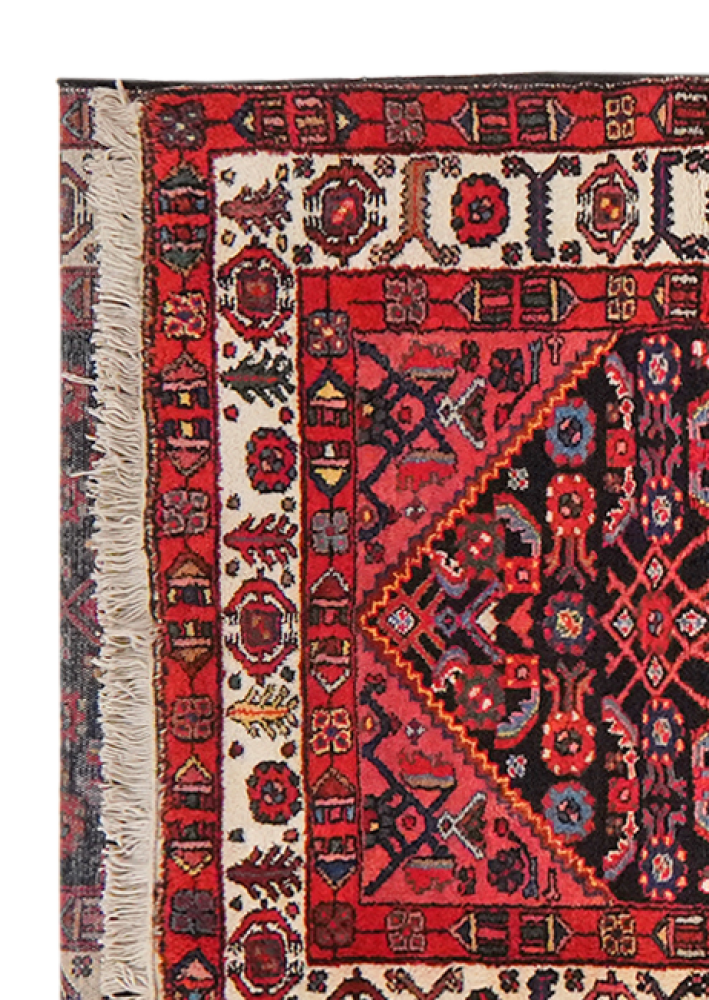Farahan — Handgefertigt, 509x108 cm, Beige, 100% Virgin Wool | View 4