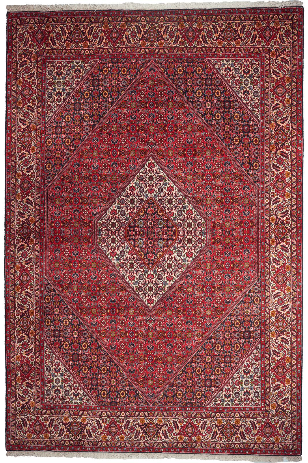 Bidjar Zandjan — Hand-knotted, 198x295 cm, Red, 100% Virgin Wool | Main view