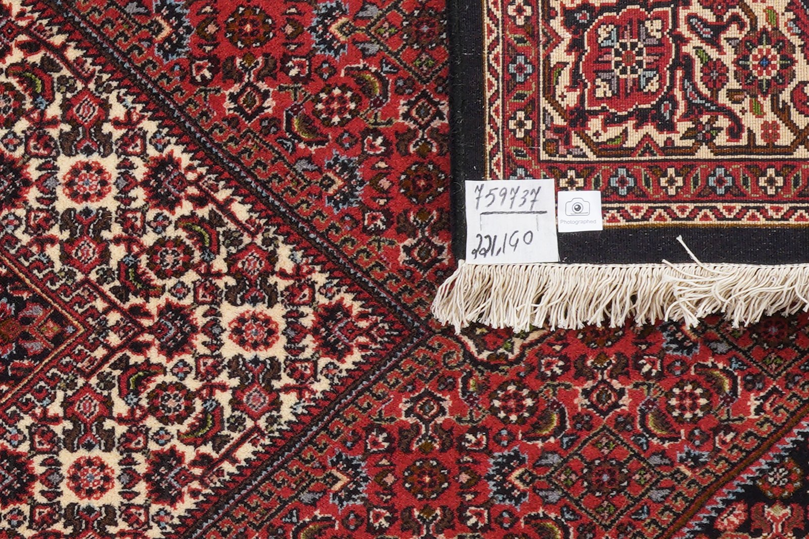 Bidjar Zandjan — Hand-knotted, 140x221 cm, Red, 100% Virgin Wool | View 6