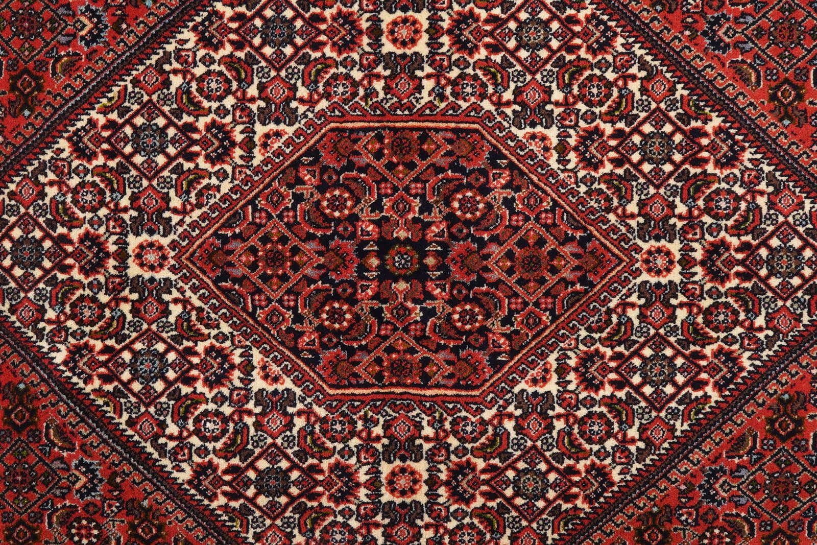 Bidjar Zandjan — Hand-knotted, 202x301 cm, Red, 100% Virgin Wool | View 7
