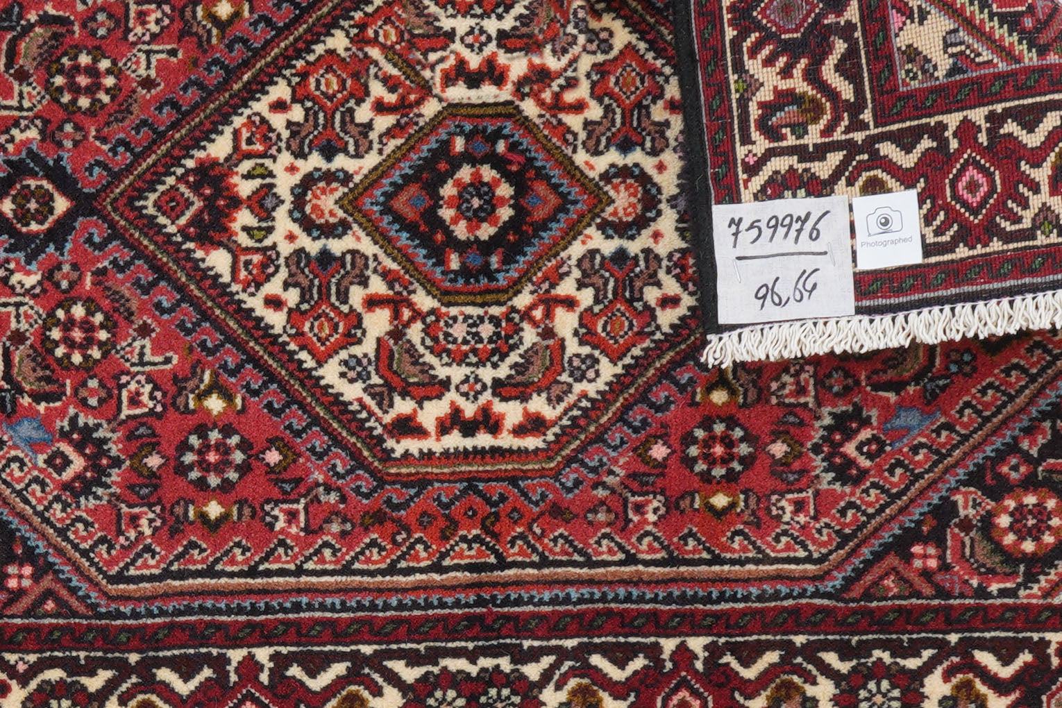Bidjar Zandjan — Hand-knotted, 64x96 cm, Red, 100% Virgin Wool | View 6